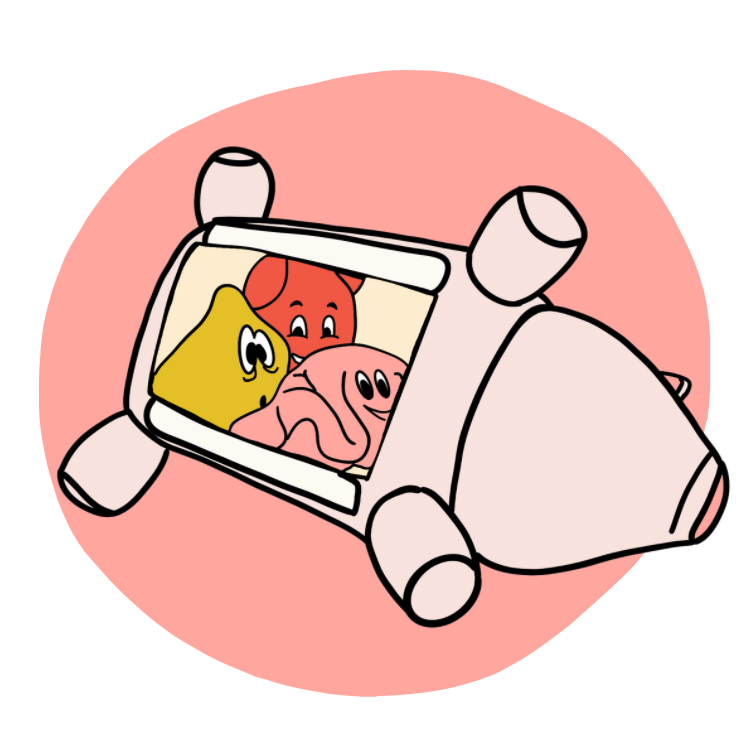 Illustration of Piggle on its side, without the panel and organs/treat holders on inside.