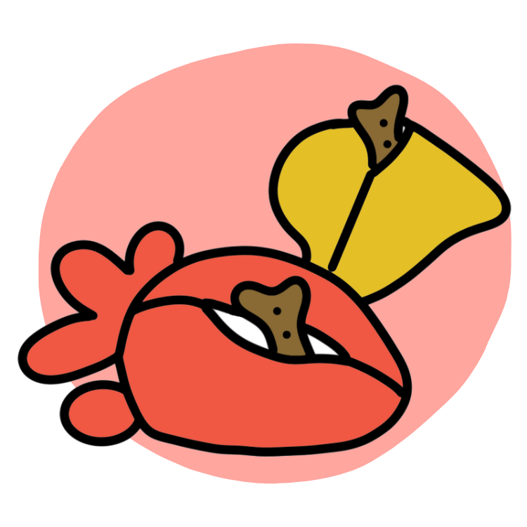 Illustration of the backs of two of the Piggle organs/treat holders showing the treat pockets with treats in them.