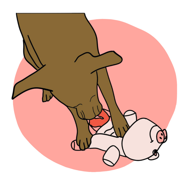 Illustration of our dog, Sammy (she's the goodest girl), pulling an organ/treat holder out through the slats on the Piggle's belly.