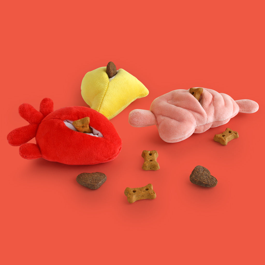 Plush organs lying facedown, with their treat pockets exposed and filled with dog treats.