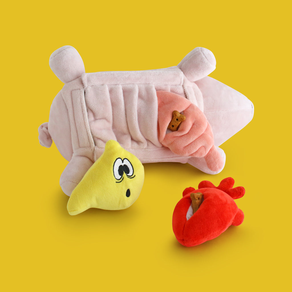 Plush toy organs with pockets filled with treats being stuffed inside The Piggle through the slats on its belly.