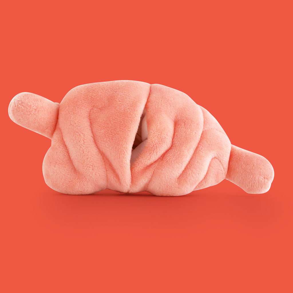 Replacement set of organs