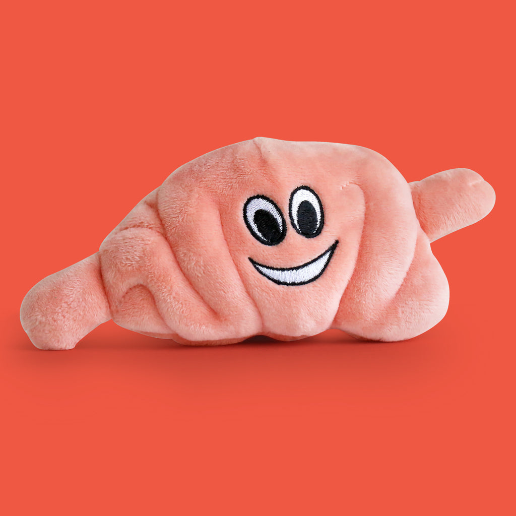 Replacement intestines