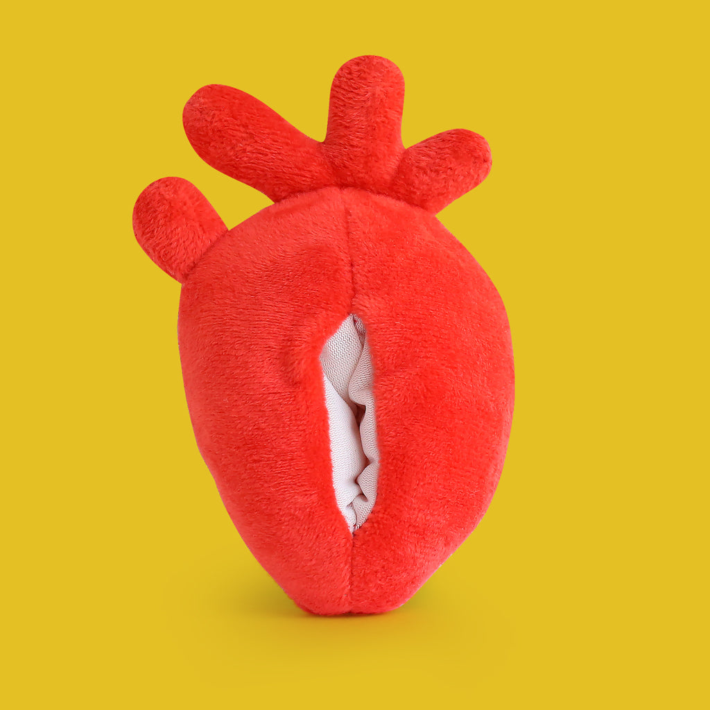 Replacement heart